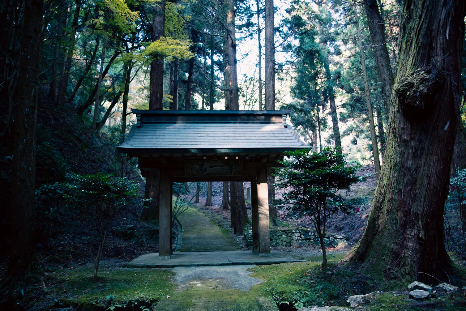 木々、空、水辺、街の遠景などを写した風景写真