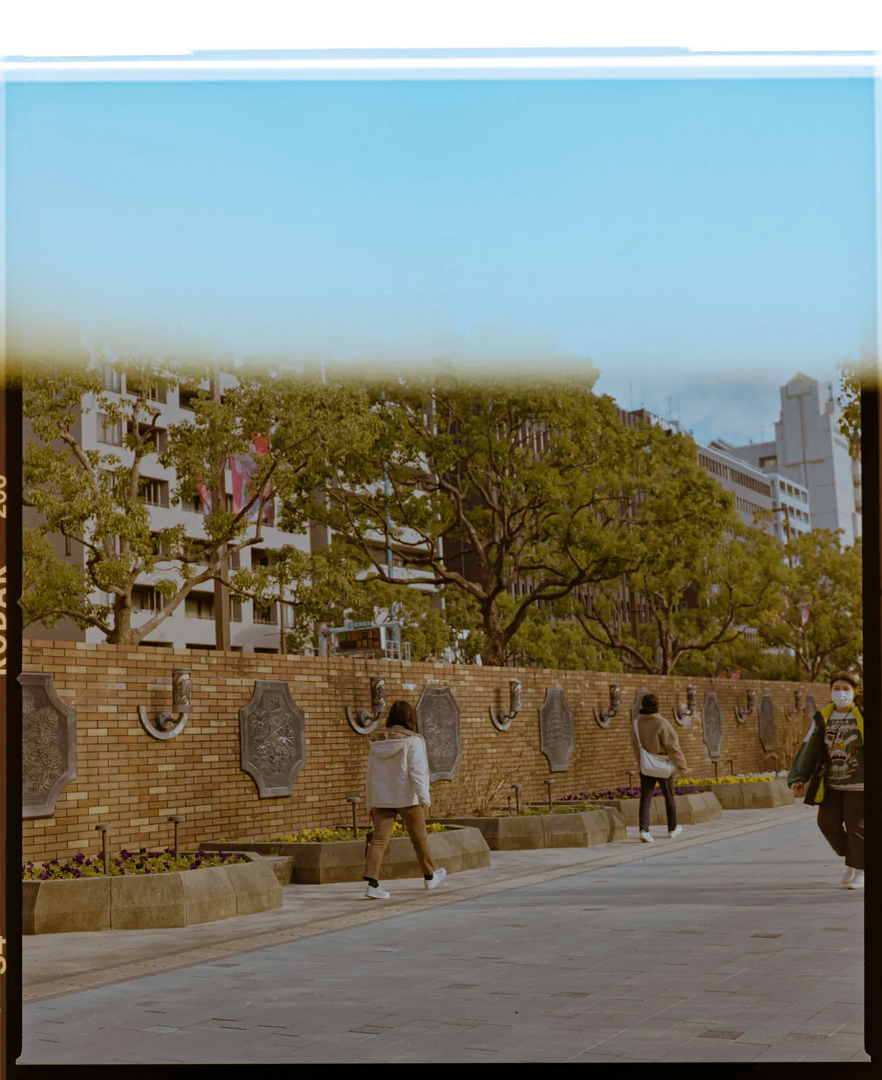 木々、空、水辺、街の遠景などを写した風景写真