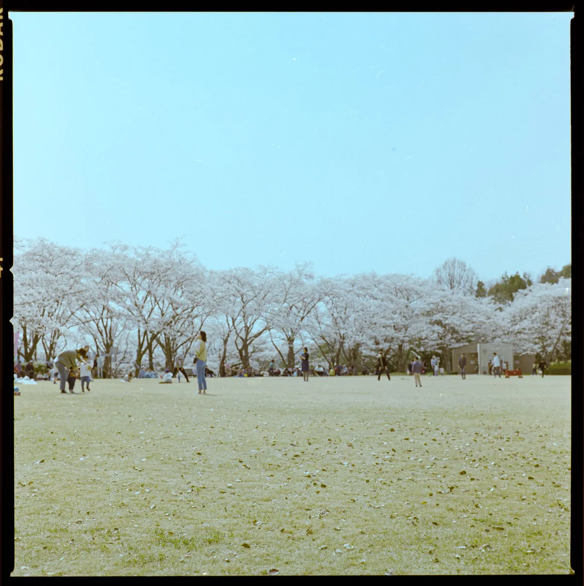 木々、空、水辺、街の遠景などを写した風景写真