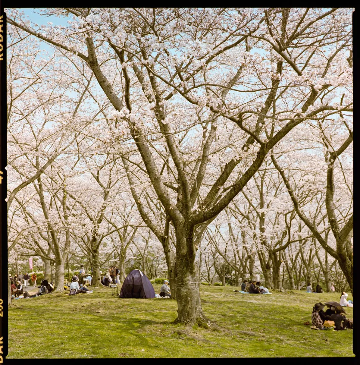 木々、空、水辺、街の遠景などを写した風景写真