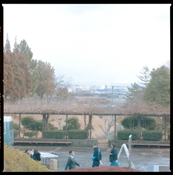 木々、空、水辺、街の遠景などを写した風景写真