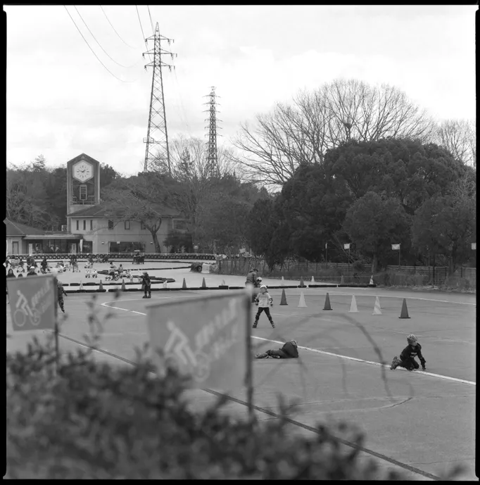 木々、空、水辺、街の遠景などを写した風景写真