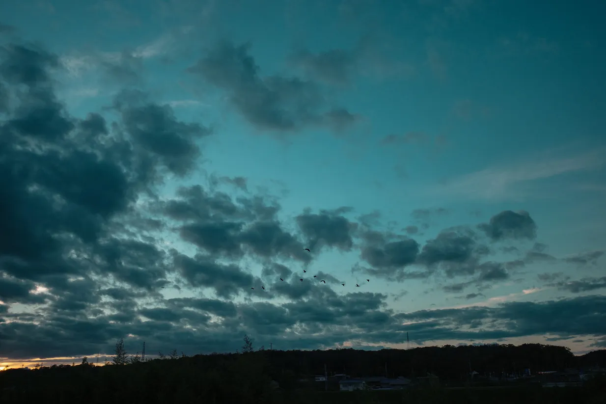 木々、空、水辺、街の遠景などを写した風景写真